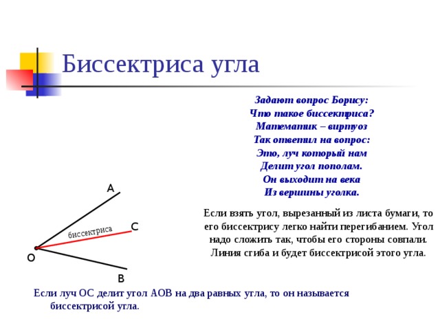 Что делит угол по полам