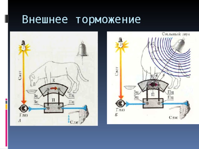 Внешнее торможение 