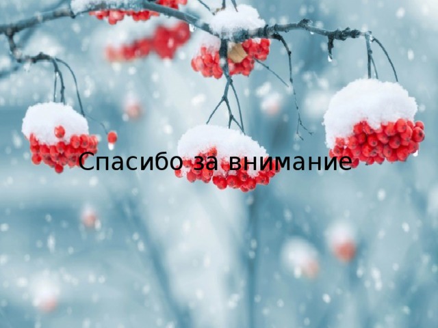 Спасибо за внимание 
