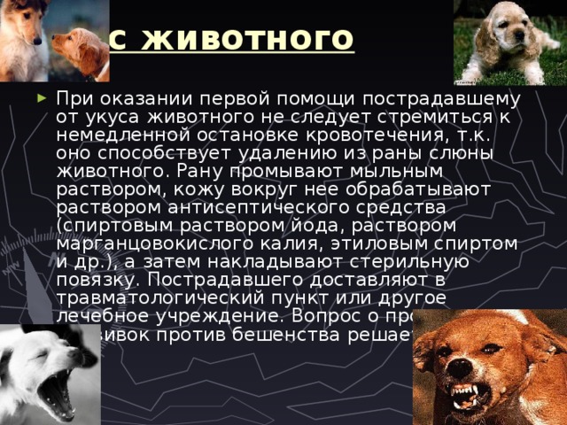Укус животного  При оказании первой помощи пострадавшему от укуса животного не следует стремиться к немедленной остановке кровотечения, т.к. оно способствует удалению из раны слюны животного. Рану промывают мыльным раствором, кожу вокруг нее обрабатывают раствором антисептического средства (спиртовым раствором йода, раствором марганцовокислого калия, этиловым спиртом и др.), а затем накладывают стерильную повязку. Пострадавшего доставляют в травматологический пункт или другое лечебное учреждение. Вопрос о проведении прививок против бешенства решает врач. 