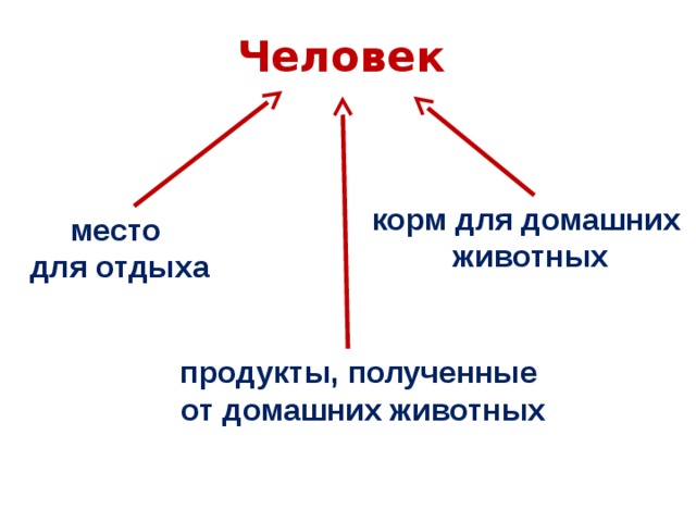 Человек корм для домашних  животных место  для отдыха продукты, полученные  от домашних животных 