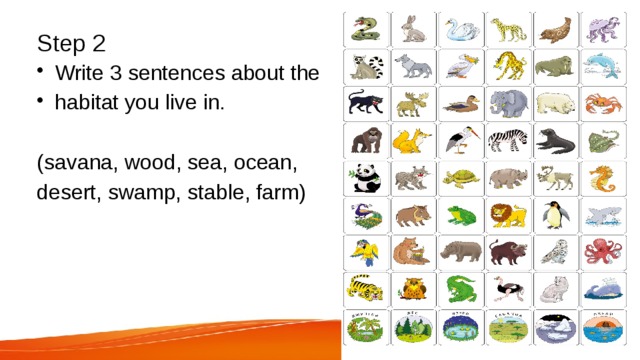  Step 2   Write 3 sentences about the habitat you live in. (savana, wood, sea, ocean, desert, swamp, stable, farm) 