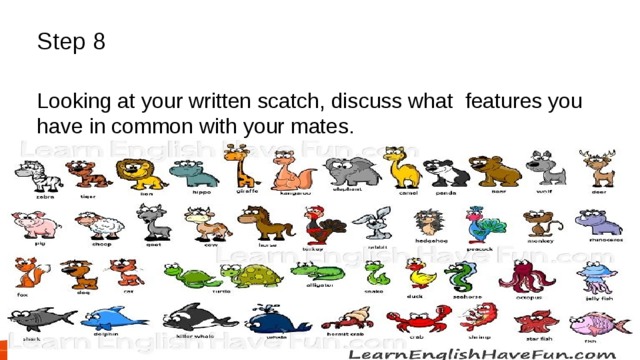  Step 8 Looking at your written scatch, discuss what features you have in common with your mates. 