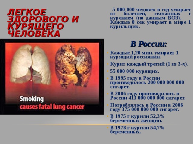  5 000 000 человек в год умирает от болезней, связанных с курением (по данным ВОЗ). Каждые 8 сек умирает в мире 1 курильщик.  В России: Каждые 1,20 мин. умирает 1 курящий россиянин. Курит каждый третий (1 из 3-х). 55 000 000 курящих. В 1995 году в России производилось 200 000 000 000 сигарет. В 2006 году производилось в России 413 000 000 000 сигарет. Потреблялось в России в 2006 году 375 000 000 000 сигарет. В 1975 г курили 52,3% беременных женщин. В 1978 г курили 54,7% беременных. ЛЕГКОЕ ЗДОРОВОГО И  КУРЯЩЕГО ЧЕЛОВЕКА 
