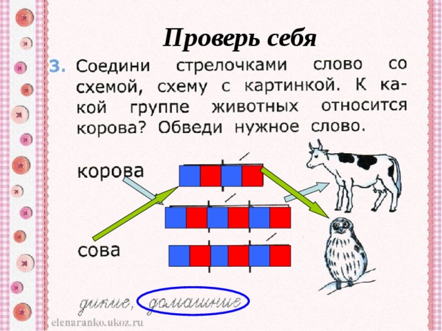 Корова схема цветная