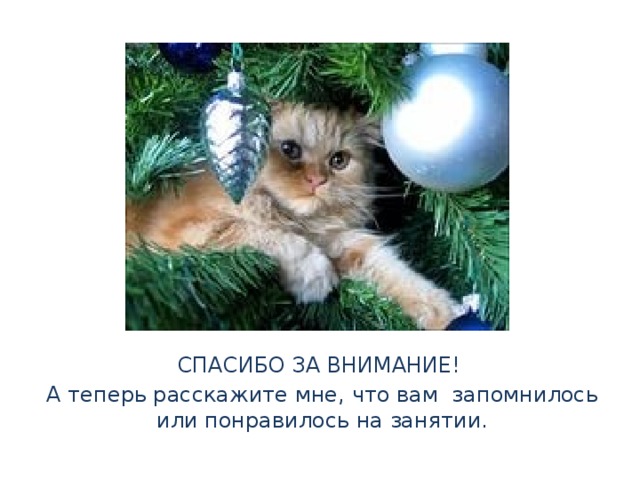 СПАСИБО ЗА ВНИМАНИЕ! А теперь расскажите мне, что вам запомнилось или понравилось на занятии. 