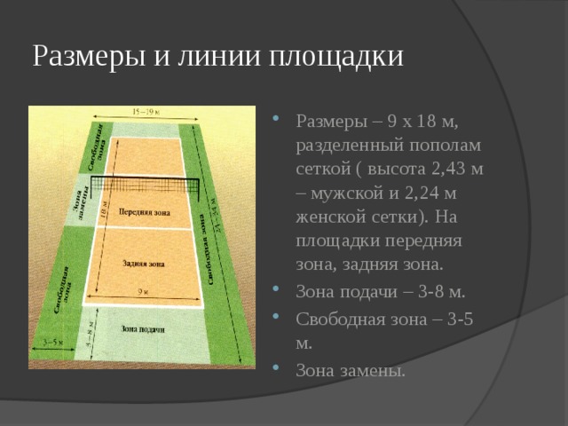 Размеры волейбольной площадки стандарт в зале