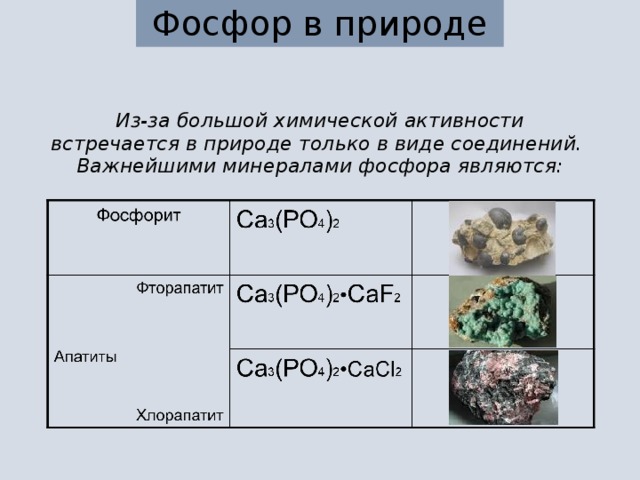 Фосфор в природе Из-за большой химической активности встречается в природе только в виде соединений.  Важнейшими минералами фосфора являются: 