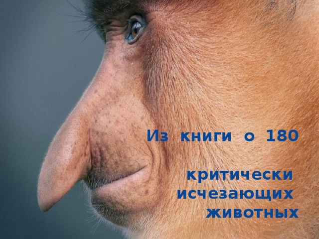 Из книги о 180  критически  исчезающих  животных   