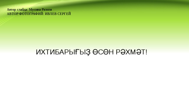 Автор слайда: Мусина Разиля АВТОР ФОТОГРАФИЙ: ИВЛЕВ СЕРГЕЙ ИХТИБАРЫҒЫҘ ӨСӨН РӘХМӘТ! 