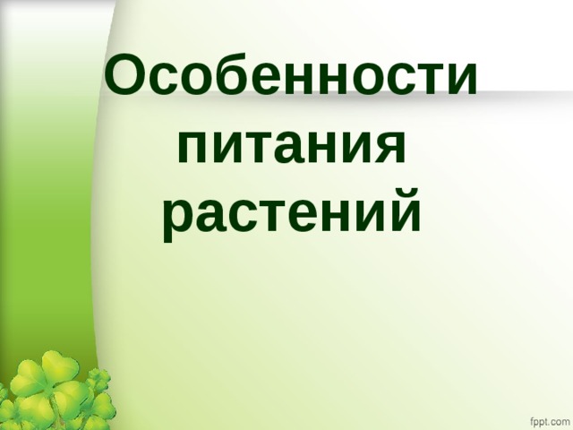 Особенности питания растений