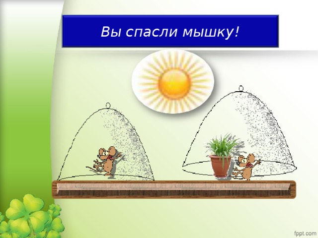 Вы спасли мышку!