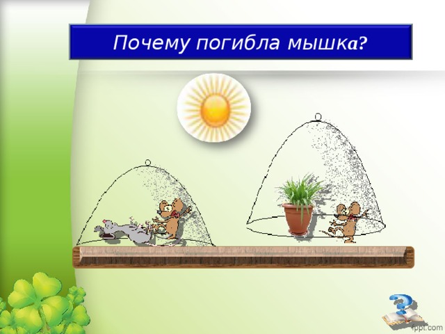 Почему  погибла мышк а?