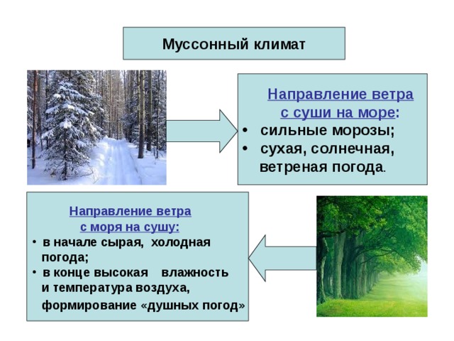 Умеренный муссонный климат. Муссонный климат в России. Муссонный климат характеристика. Муссонный климат умеренного пояса.