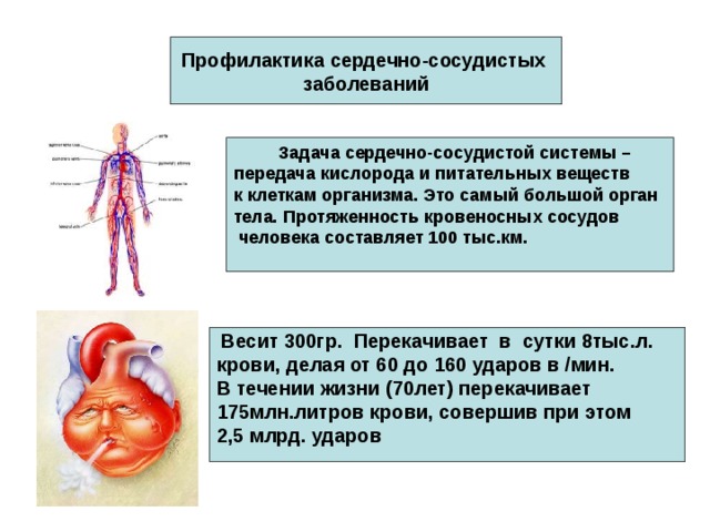 Влияние на сердечно сосудистую систему. Влияние стресса на сердечно-сосудистую систему. Влияние стресса на сердце. Влияние стресса на сердце и сосуды. Как стресс влияет на сердечно-сосудистую систему.