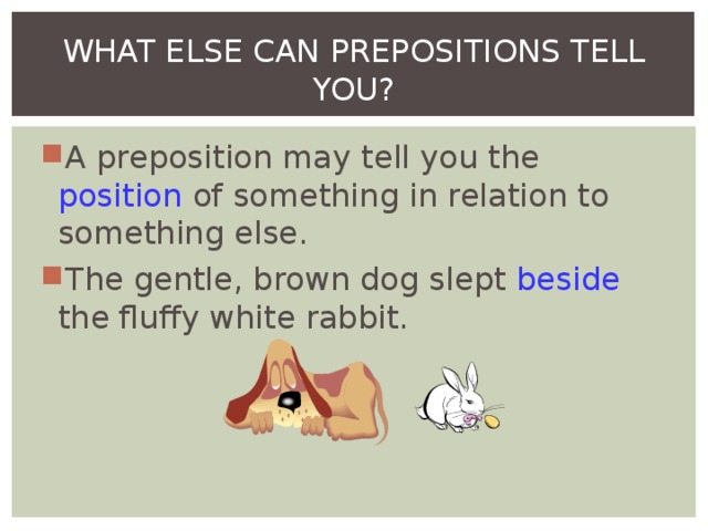 WHAT ELSE CAN PREPOSITIONS TELL YOU? A preposition may tell you the position of something in relation to something else. The gentle, brown dog slept beside the fluffy white rabbit.    