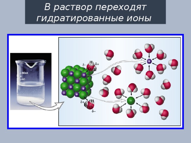 В раствор переходят гидратированные ионы 