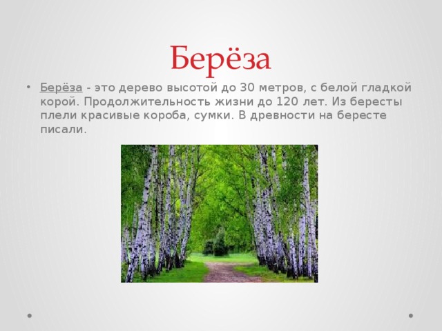 Берёза Берёза  - это дерево высотой до 30 метров, с белой гладкой корой. Продолжительность жизни до 120 лет. Из бересты плели красивые короба, сумки. В древности на бересте писали.  