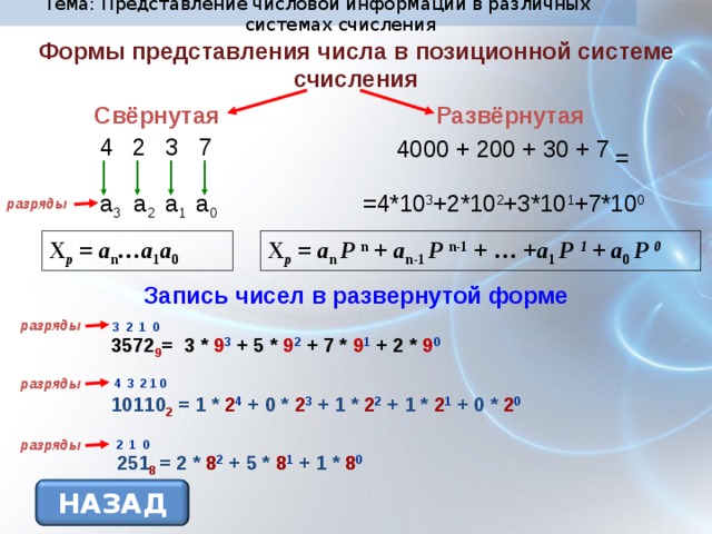 Тема: Представление числовой информации в различных системах счисления Формы представления числа в позиционной системе счисления Развёрнутая Свёрнутая 4  2  3  7 4000 + 200 + 30 + 7 = =4*10 3 +2*10 2 +3*10 1 +7*10 0 a 3 a 2 a 1 a 0 разряды X p = a n …a 1 a 0 X р = a n  P  n + a n-1  P  n-1 + … + a 1  P  1 + a 0  Р 0 Запись чисел в развернутой форме разряды 3 2 1 0 3572 9 = 3 * 9 3 + 5 * 9 2 + 7 * 9 1 + 2 * 9 0 разряды 4 3 2 1 0 10110 2 = 1 * 2 4 + 0 * 2 3 + 1 * 2 2 + 1 * 2 1 + 0 * 2 0 разряды 2 1 0 251 8  = 2 * 8 2 + 5 * 8 1 + 1 * 8 0 НАЗАД 