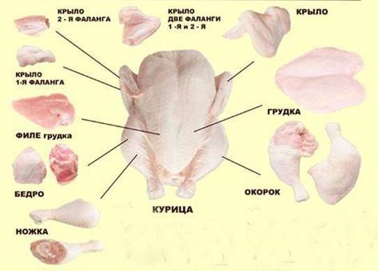 Схема разделки туши курицы