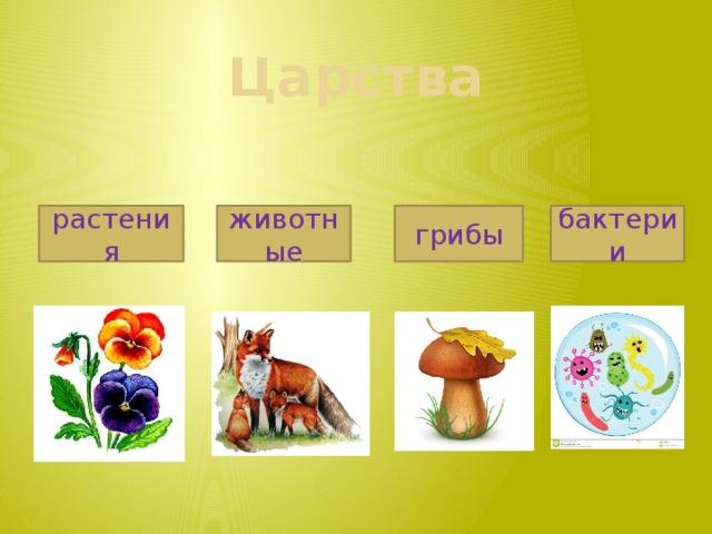 Конспект урока с презентацией путешествие по москве 2 класс окружающий мир