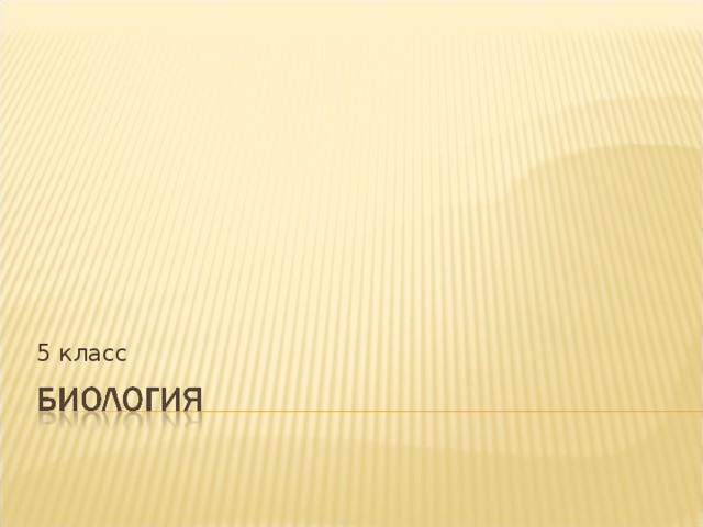 5 класс 