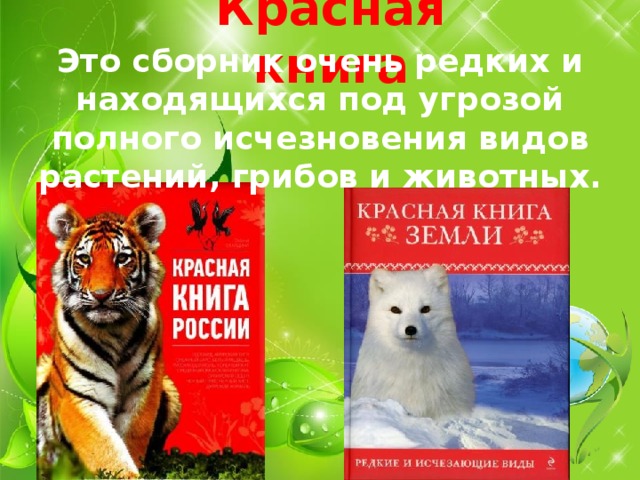 Красная книга Это сборник очень редких и находящихся под угрозой полного исчезновения видов растений, грибов и животных. 