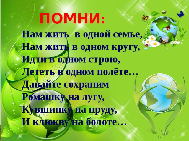 ПОМНИ : Нам жить в одной семье, Нам жить в одном кругу, Идти в одном строю, Лететь в одном полёте… Давайте сохраним Ромашку на лугу, Кувшинку на пруду, И клюкву на болоте… 