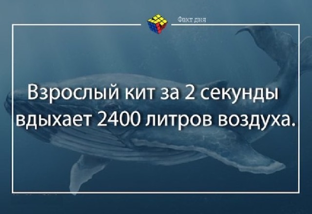 Интересные факты о воздухе. Удивительные факты про воздух. Необычные факты о воздухе. Интересные факты о воздухе 3 класс.