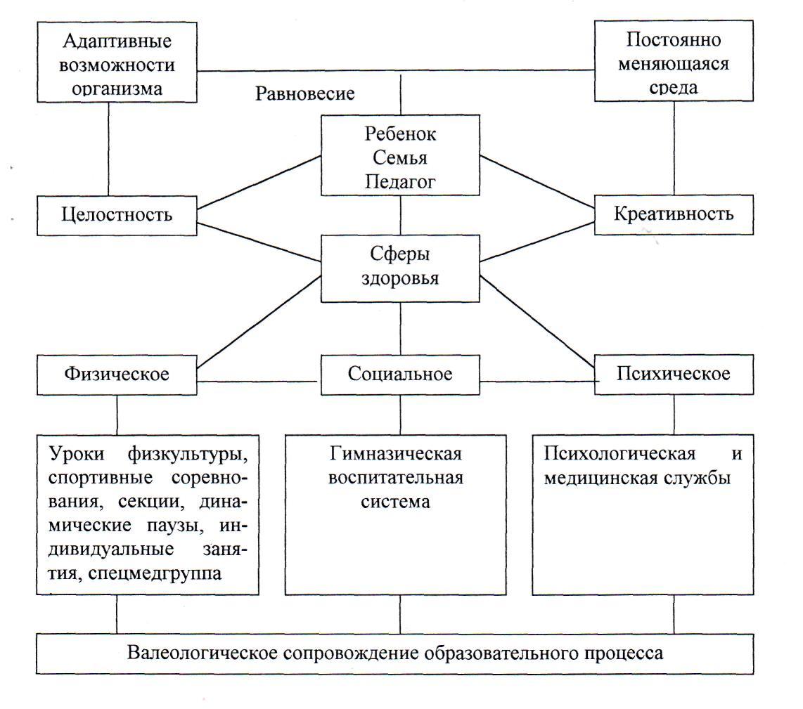 Возможности организма. Адаптационные возможности организма. Адаптивные возможности организма. Приспособительные возможности организма. Адаптивные возможности это.