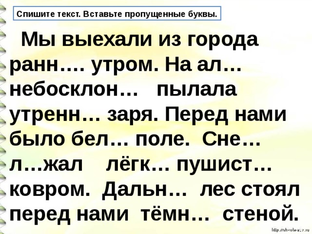 Спишите текст. Вставьте пропущенные буквы.  Мы выехали из города ранн…. утром. На ал… небосклон… пылала утренн… заря. Перед нами было бел… поле. Сне… л…жал лёгк… пушист… ковром. Дальн… лес стоял перед нами тёмн… стеной. 