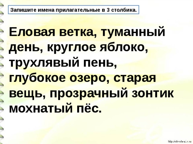 Запишите имена прилагательные в 3 столбика. Еловая ветка, туманный день, круглое яблоко, трухлявый пень, глубокое озеро, старая вещь, прозрачный зонтик мохнатый пёс. 