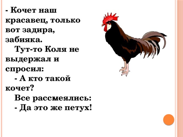 - Кочет наш красавец, только вот задира, забияка.   Тут-то Коля не выдержал и спросил:   - А кто такой кочет?   Все рассмеялись:   - Да это же петух! 