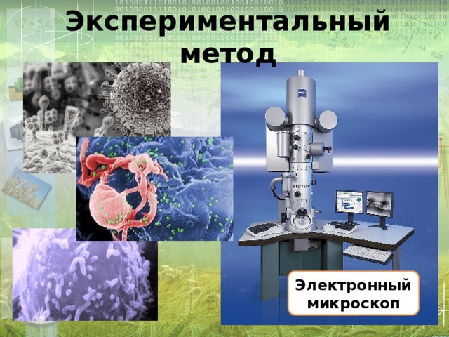 Экспериментальный метод Электронный микроскоп 