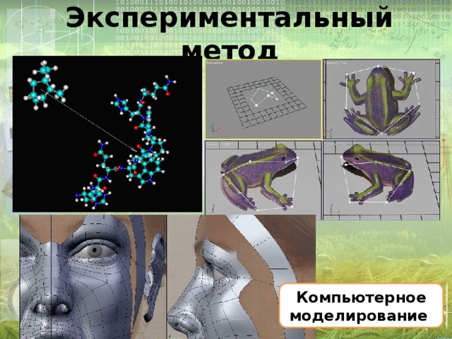 Экспериментальный метод Компьютерное моделирование 