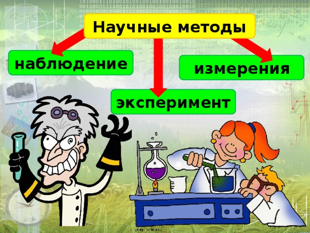 Методы биологии картинки