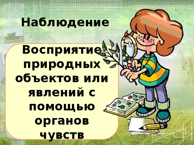 Восприятие наблюдение. Восприятие природных объектов или явлений с помощью органов чувств. Наблюдение восприятие природных объектов с помощью.