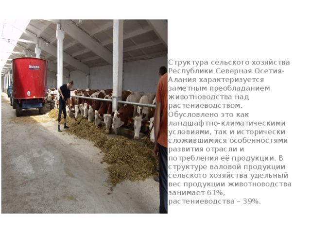 Структура сельского хозяйства Республики Северная Осетия-Алания характеризуется заметным преобладанием животноводства над растениеводством. Обусловлено это как ландшафтно-климатическими условиями, так и исторически сложившимися особенностями развития отрасли и потребления её продукции. В структуре валовой продукции сельского хозяйства удельный вес продукции животноводства занимает 61%, растениеводства – 39%. 