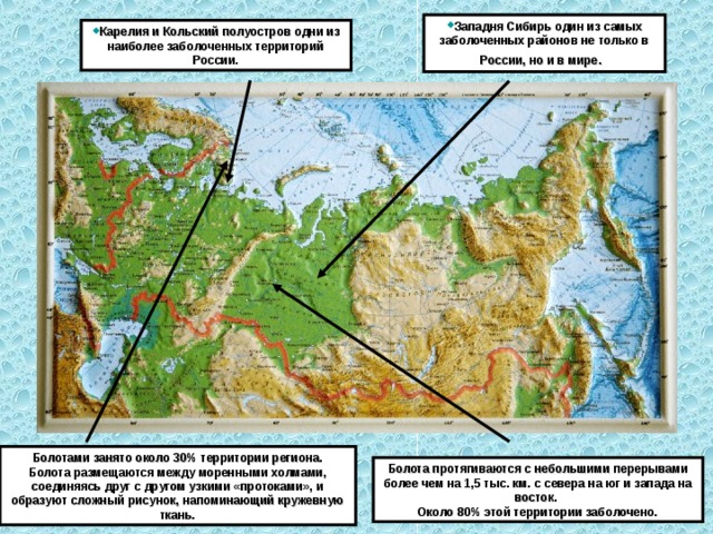 Штриховкой обозначьте территорию. Заболоченные территории России на карте. Обозначьте штриховкой Заболоченные территории. Наиболее Заболоченные территории мира на карте. Наиболее Заболоченные районы России.