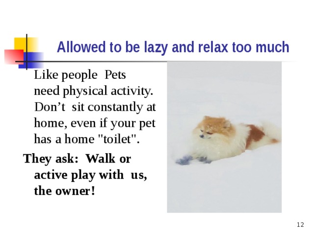 Allowed to be lazy and relax too much     Like people Pets need physical activity. Don’t sit constantly at home, even if your pet has a home 