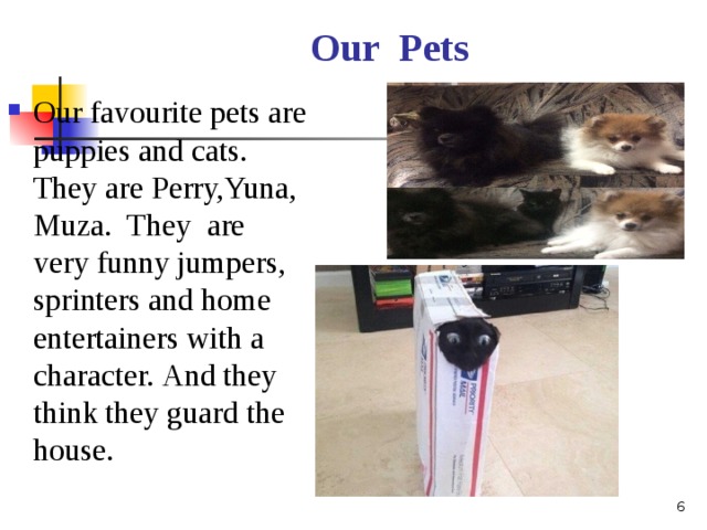 Our Pets Our favourite pets are puppies and cats. They are Perry,Yuna, Muza. They are very funny jumpers, sprinters and home entertainers with a character.  And they think they guard the house .  