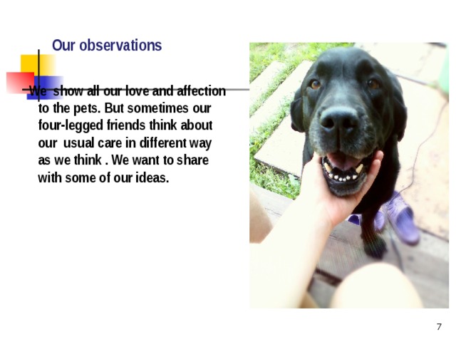   Our observations   We show all our love and affection to the pets. But sometimes our four-legged friends think about our usual care in different way as we think . We want to share with some of our ideas.  