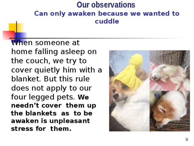 Our observations  Can only awaken because we wanted to cuddle When someone at home falling asleep on the couch, we try to cover quietly him with a blanket. But this rule does not apply to our four legged pets. We needn’t cover them up the blankets as to be awaken is unpleasant stress for them.  