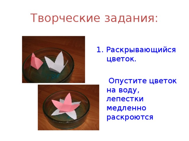 Творческие задания: 1. Раскрывающийся цветок.  Опустите цветок на воду, лепестки медленно раскроются 