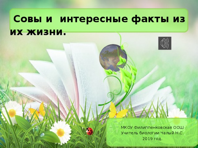    Совы и интересные факты из их жизни. МКОУ Филиппенковская ООШ Учитель биологии Чалый Н.С. 2019 год. 