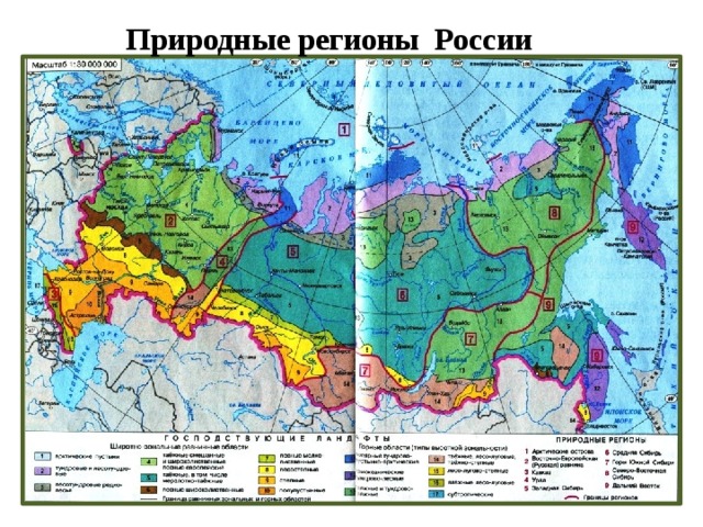 Природные регионы России 