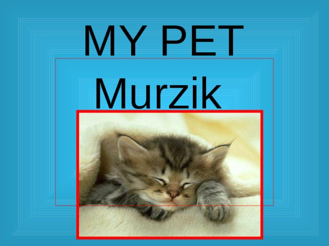  MY PET  Murzik 