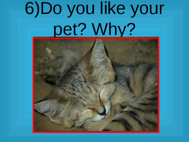 6)Do you like your pet? Why? 