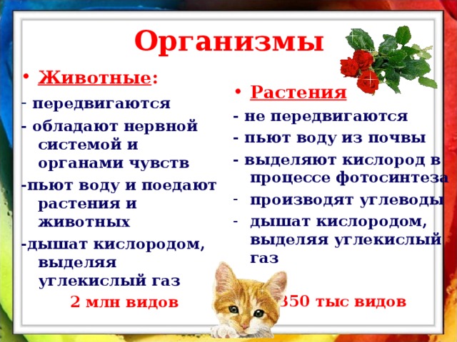 Организмы Животные : - передвигаются - обладают нервной системой и органами чувств -пьют воду и поедают растения и животных -дышат кислородом, выделяя углекислый газ 2 млн видов Растения - не передвигаются - пьют воду из почвы - выделяют кислород в процессе фотосинтеза производят углеводы дышат кислородом, выделяя углекислый газ  350 тыс видов 