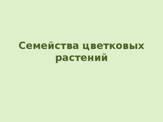 Семейства цветковых растений 